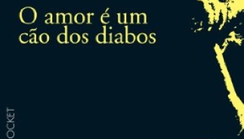 As 30 Melhores Críticas De O Amor É Um Cão Dos Diabos Com Comparação Em